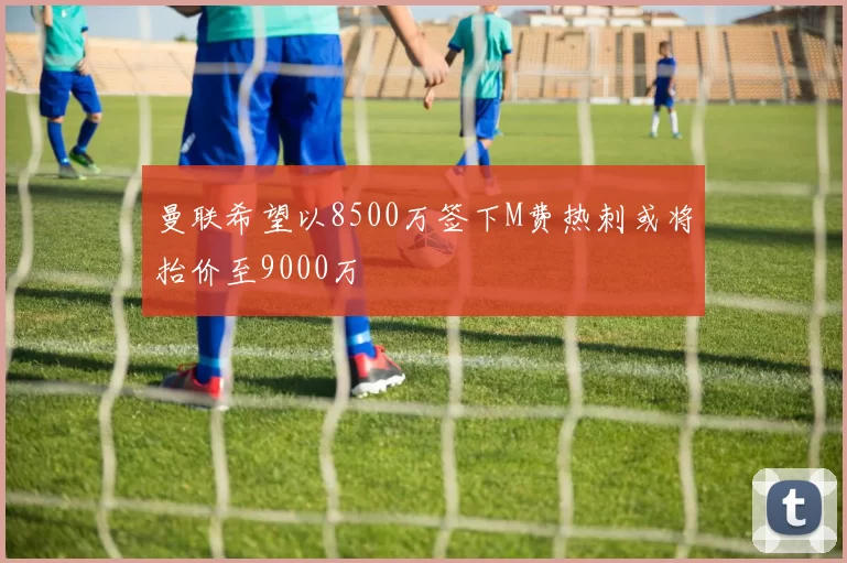 曼联希望以8500万签下M费热刺或将抬价至9000万